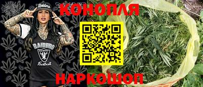 сатива Камышлов