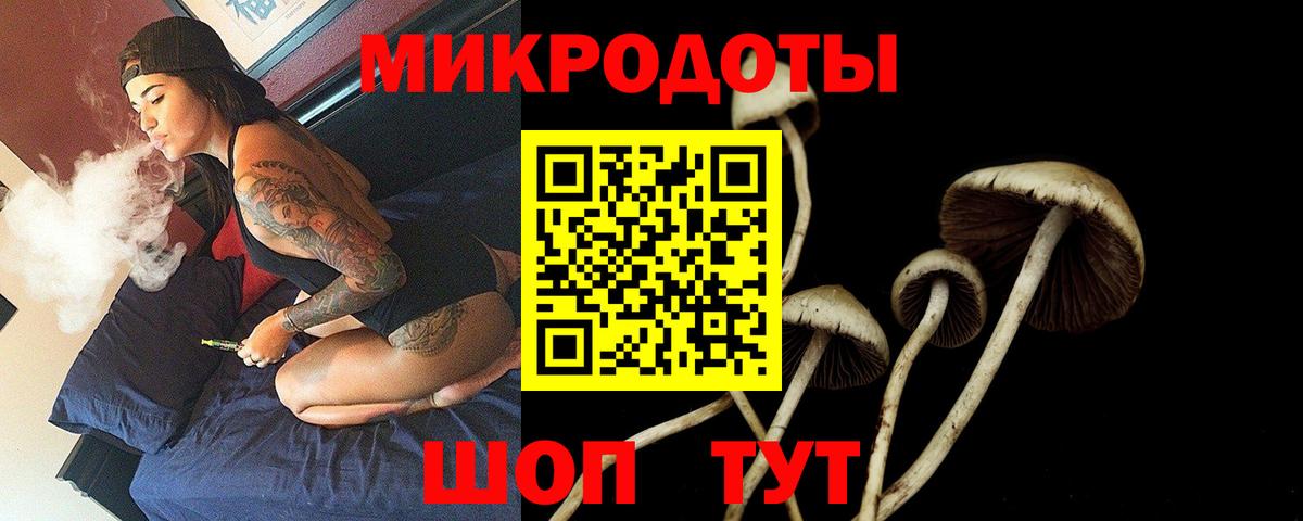 Псилоцибиновые грибы Psilocybine cubensis  Вход с VPN  Лабытнанги 