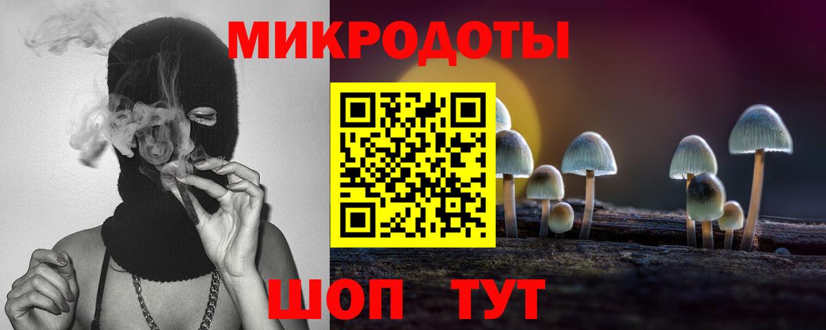 Галлюциногенные грибы мухоморы Лабытнанги